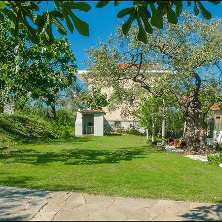 Sunray Separate Villa Скала-Сотирос Экстерьер фото